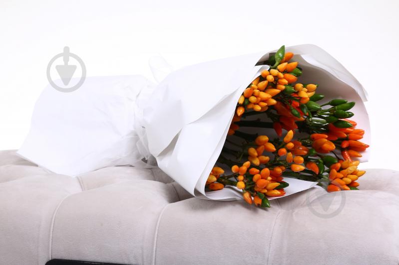 Капсикум Orange Candy оранжевый (Нидерланды) - фото 6