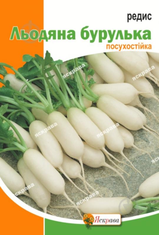 Семена Яскрава редис Ледяная сосулька 10 г (4823069803919) - фото 1