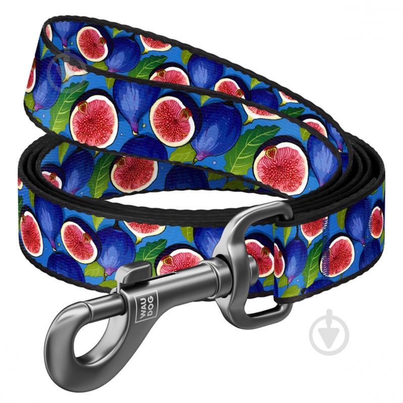 Поводок Waudog Nylon рисунок "Инжир" L-XXL Ш25 мм Д122 см - фото 1 Поводок Waudog Nylon рисунок "Инжир" L-XXL Ш25 мм Д122 см - фото 1