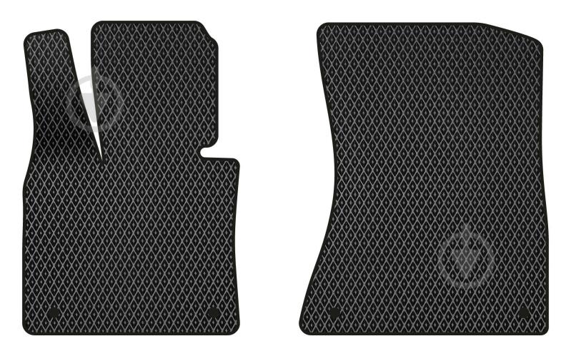 Килимки автомобільні EVAtech BMW X5 (E70) (closed threshold) 2006-2013 (BM33435A2BW4RBB) універсальні - фото 1