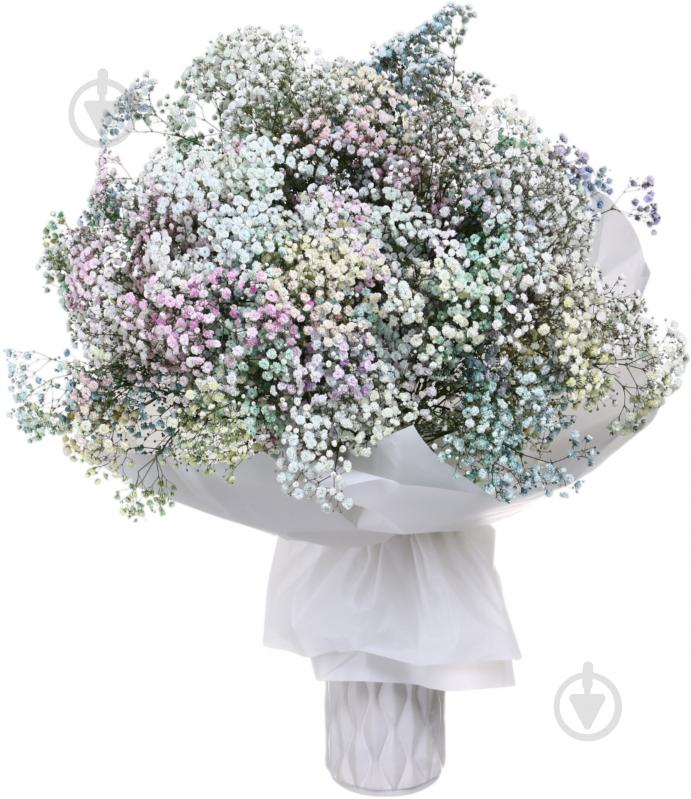 Гипсофила Rainbow микс (Нидерланды) - фото 2