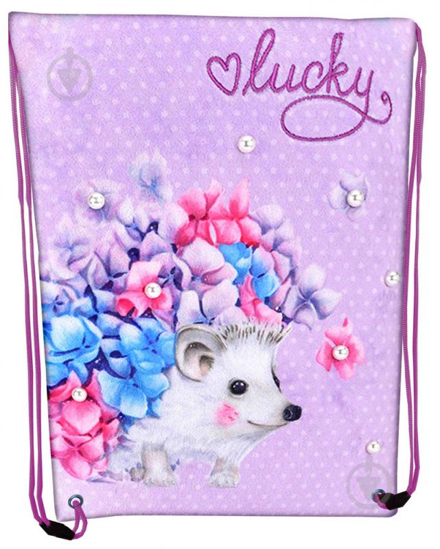 Сумка для обуви CLASS Lucky 46x33 см 2233С - фото 1