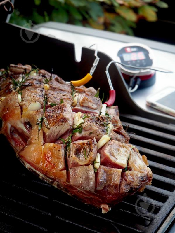 Термометр цифровой Weber iGrill 2 7221 - фото 3