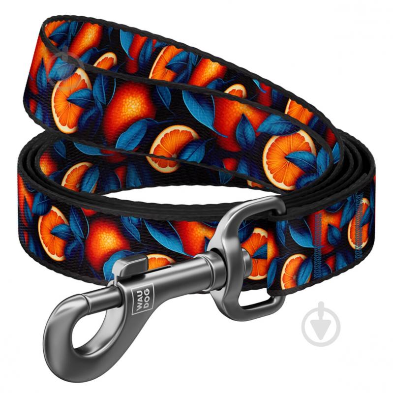 Поводок Waudog Nylon рисунок "Апельсины" L-XXL Ш25 мм Д122 см - фото 1 Поводок Waudog Nylon рисунок "Апельсины" L-XXL Ш25 мм Д122 см - фото 1