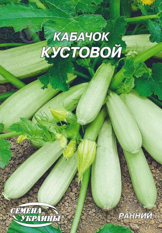 Семена кабачок Кустовой 20 г Насіння України - фото 1 Семена кабачок Кустовой 20 г Насіння України - фото 1