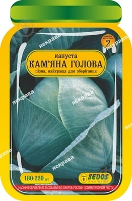 Насіння Яскрава капуста білоголова Кам'яна Голова 180 шт. (4823069903060) - фото 1