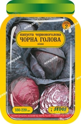 Семена Яскрава капуста краснокочанная Черная Голова 180 шт. (4823069903077) - фото 1