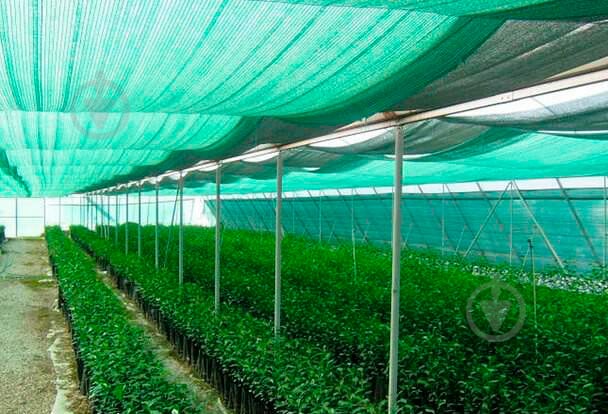 Сітка затінкова Growtex з UV (2,0 * 50) до 60 % затінення - фото 7