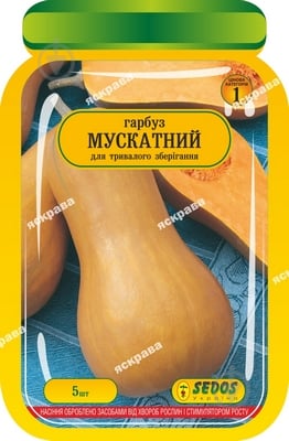 Насіння Яскрава гарбуз Мускатний 5 г (4823069904777) - фото 1