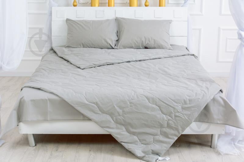 Ковдра антиаллергенна Ecosilk №2304 Light Gray (2200003027228) 110x140 см MirSon - фото 1