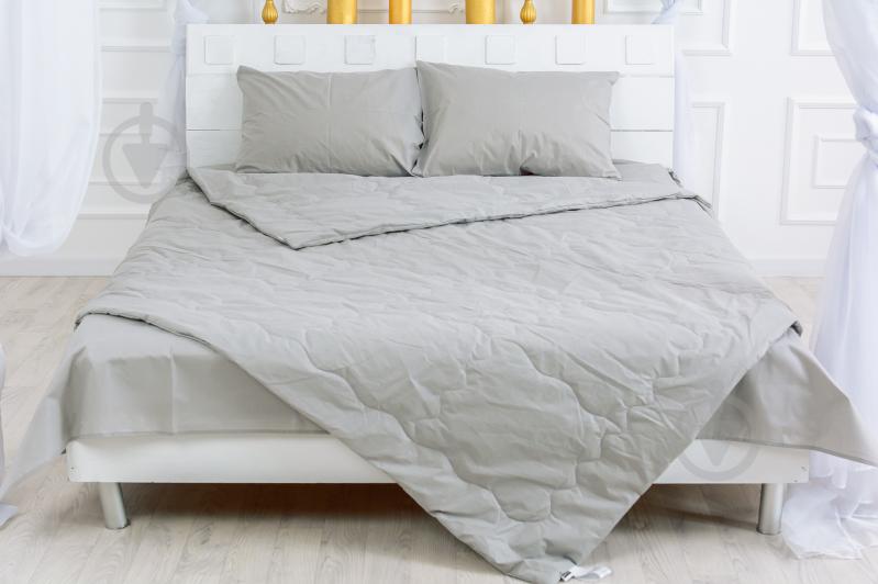 Ковдра антиаллергенна Ecosilk №2304 Light Gray (2200003027891) 140x205 см MirSon - фото 1