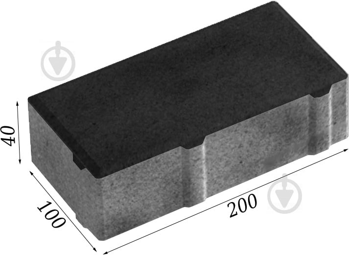 Тротуарна плитка Золотой Мандарин Цегла чорна 200 х 100 х 40 мм. - фото 2