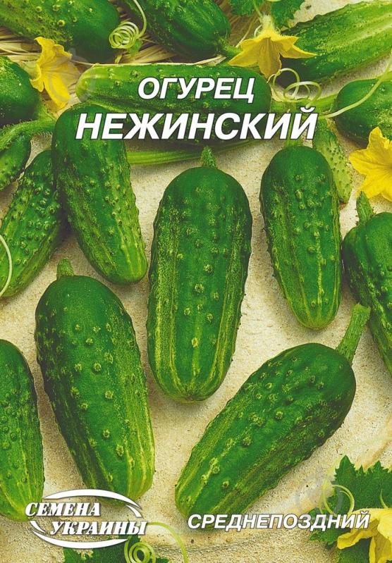 Семена огурец Нежинский 10 г Насіння України - фото 1