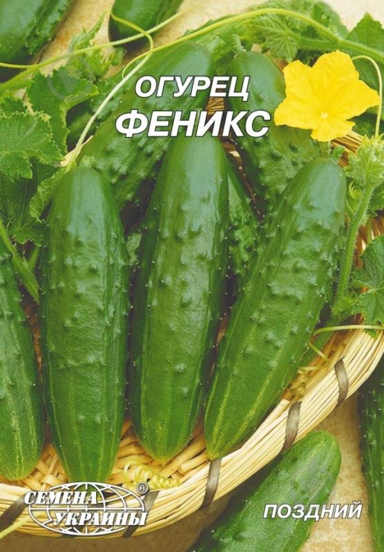 Семена огурец Феникс 10 г Насіння України - фото 1