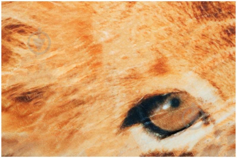 Плед Львенок 160x200 см оранжевый Underprice - фото 2