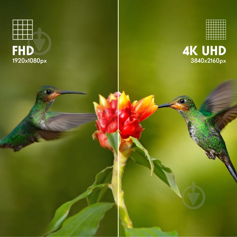 Телевізор Thomson 43UG4S14 - фото 11