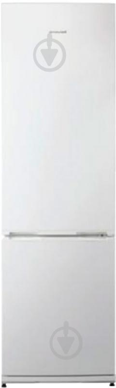 Холодильник Snaige RF 39 SМS0002G - фото 1 Холодильник Snaige RF 39 SМS0002G - фото 1