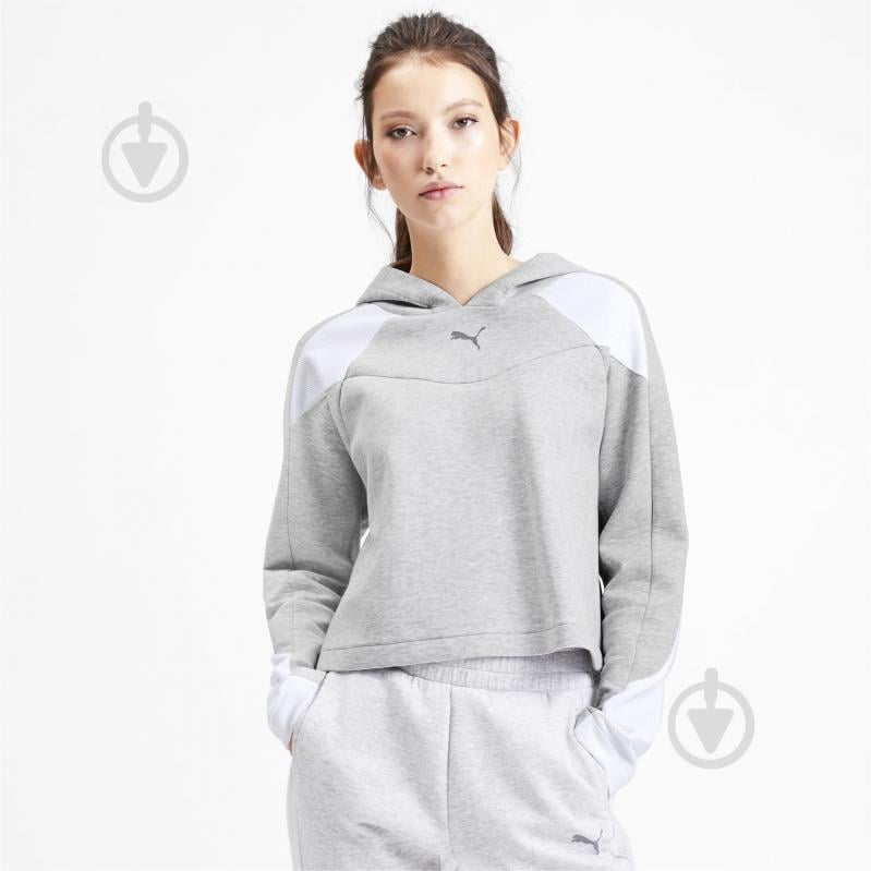 Джемпер Puma EVOSTRIPE Hoody 58005904 р. M сірий - фото 1