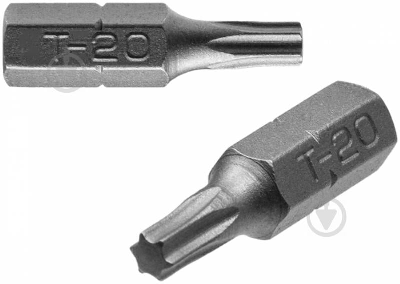 Біта Expert Fix Torx 20x25 мм 2 шт. 40114153 - фото 1