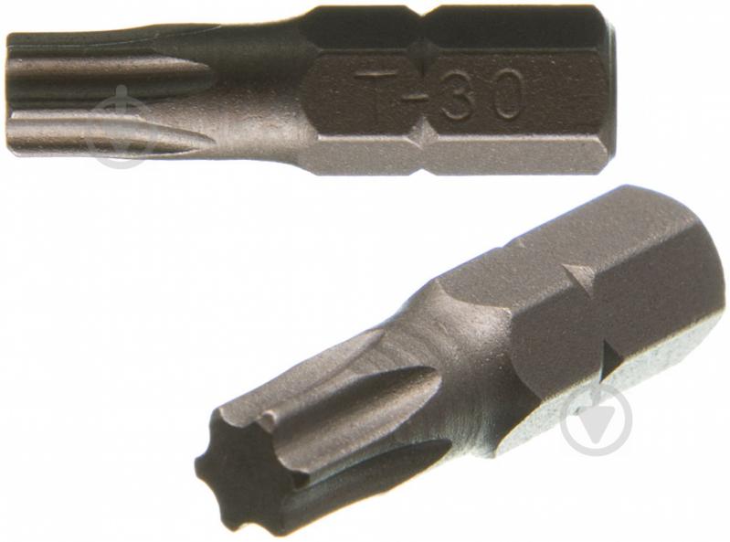 Бита Expert Fix Torx 30x25 мм 2 шт. 40114155 - фото 1