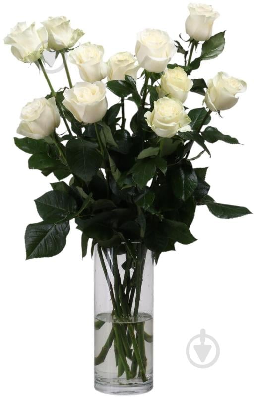 Троянда Mondial одноголова класична 70 см білий - фото 2 Троянда Mondial одноголова класична 70 см білий - фото 2