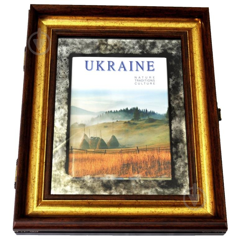 Декор настенный книга в раме Ukraine X5 №3358 - фото 1