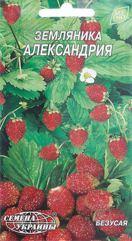 Семена Насіння України земляника Александрия 0,1 г - фото 1