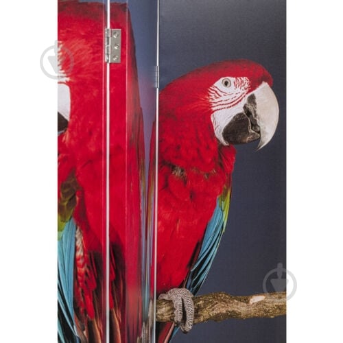 Ширма інтер'єрна KARE Design Twin Parrot vs Cute Colibri 1800x1200x25 мм різнокольоровий - фото 4