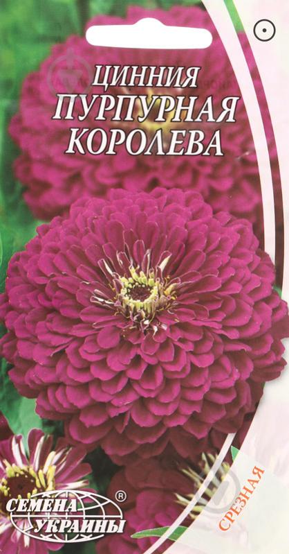 Семена Насіння України цинния Пурпурная королева 0,5 г - фото 1