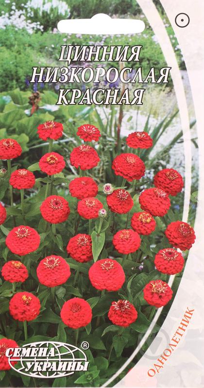 Семена Насіння України цинния низкорослая красная 0,5 г - фото 1