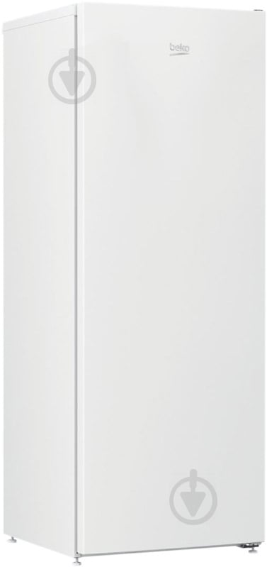 Морозильна камера Beko RFNE 200E20 W - фото 2