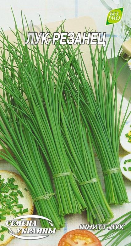 Семена Насіння України лук-резанец 0,5 г (4820069491030) - фото 1