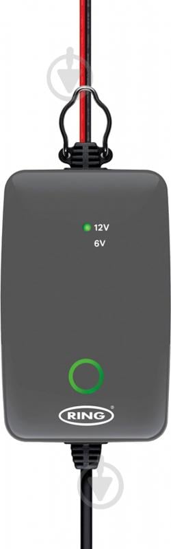 Зарядное устройство инверторное RinG 1 А 60 А/год (RESC701) - фото 1