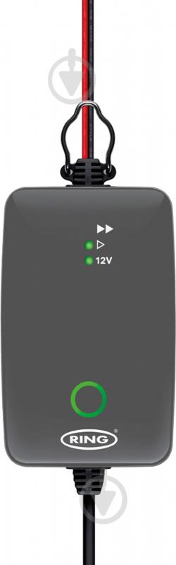 Зарядное устройство инверторное RinG 140 А/год (RESC704) - фото 1
