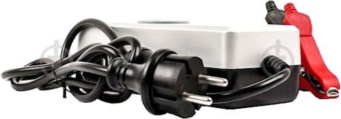 Зарядное устройство RinG RESC604 4 А 120 А/год (RESC604) - фото 4