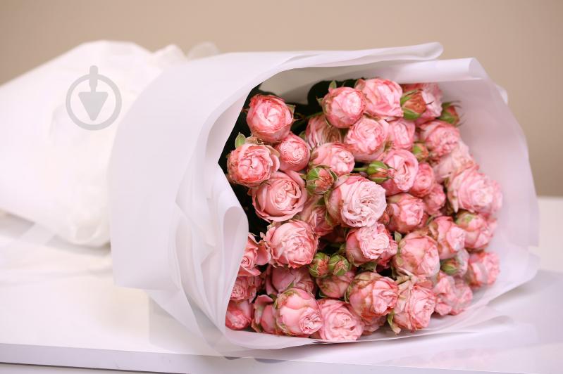 Роза Мадам Бомбастик спрей (кустовая) классическая 55 см розовая (Украина) - фото 6