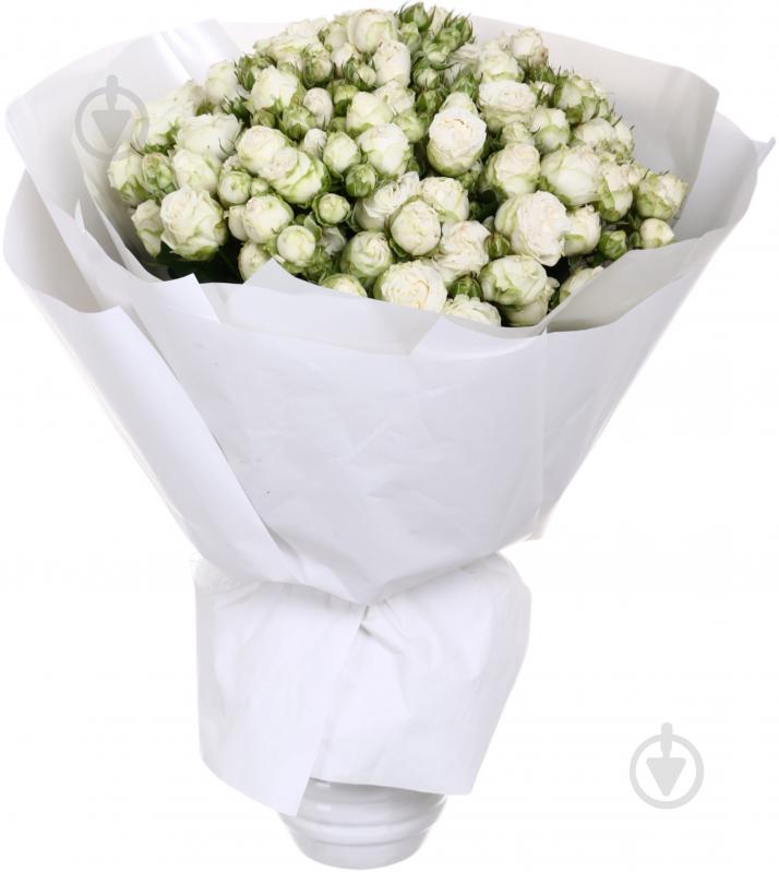 Роза Мисс Бомбастик спрей (кустовая) классическая 40 см белая (Украина) - фото 5 Роза Мисс Бомбастик спрей (кустовая) классическая 40 см белая (Украина) - фото 5