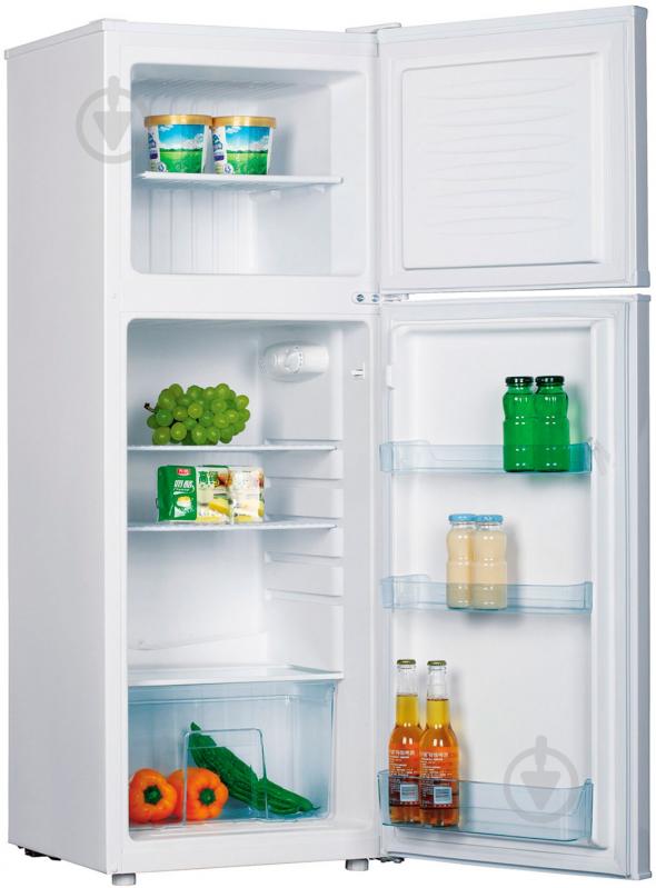 Холодильник Hansa FD206.3 - фото 2