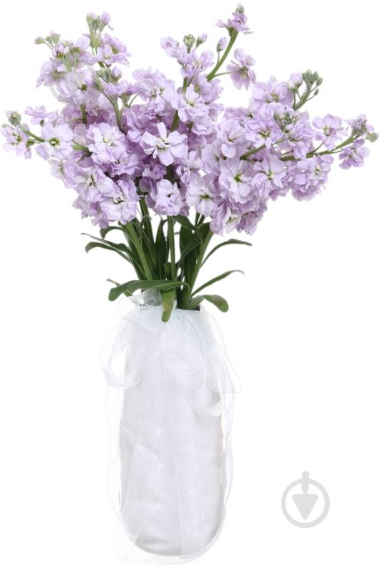 Маттиола Centum Rose фиолетовая (Нидерланды) - фото 3