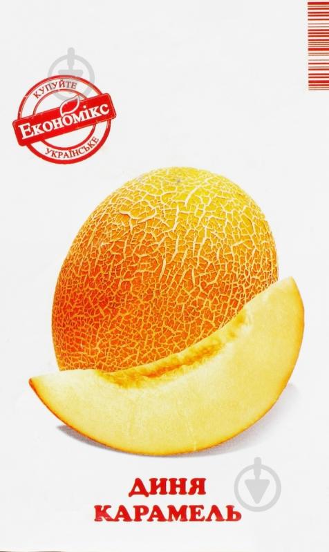 Семена дыня Карамель 1 г Экономикс - фото 1