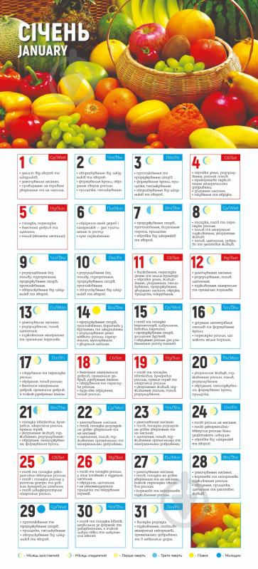 Календарь настенный Діана Плюс «Астрокалендар Місячний посівний» 2025 - фото 2