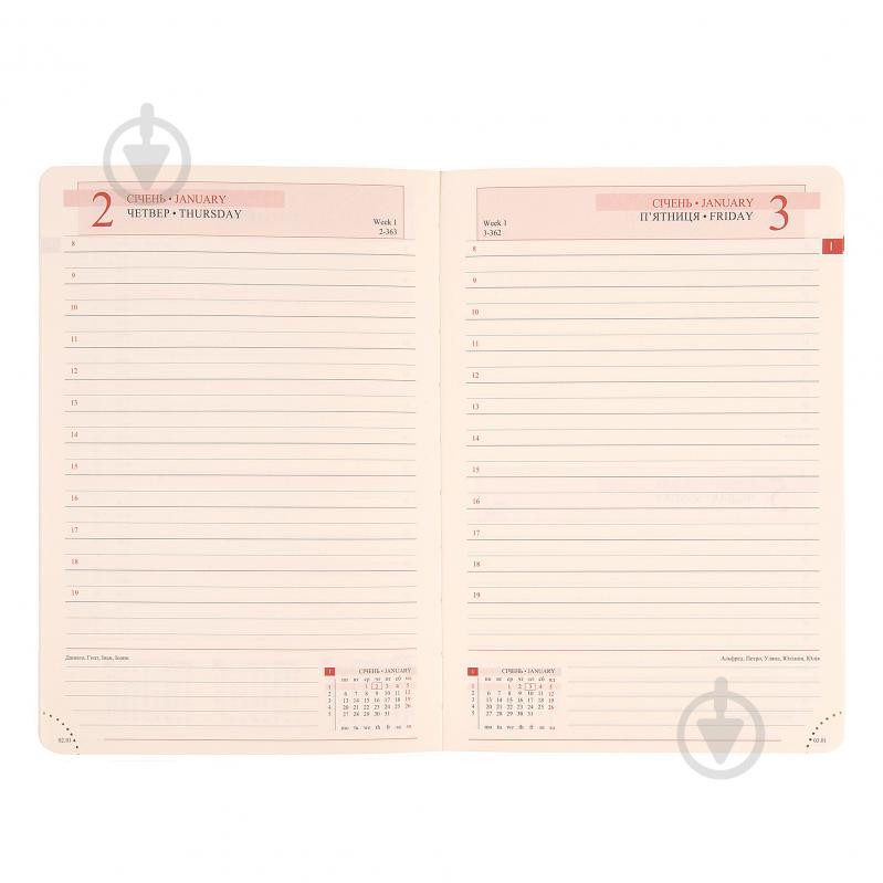 Щоденник датований сіро-блакитний 368 стор. Leo Planner Agenda A5 2025 252549 - фото 5