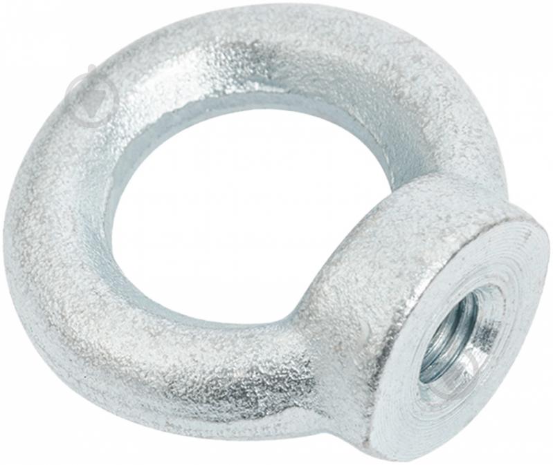Рим-гайка М8 DIN582 - фото 1