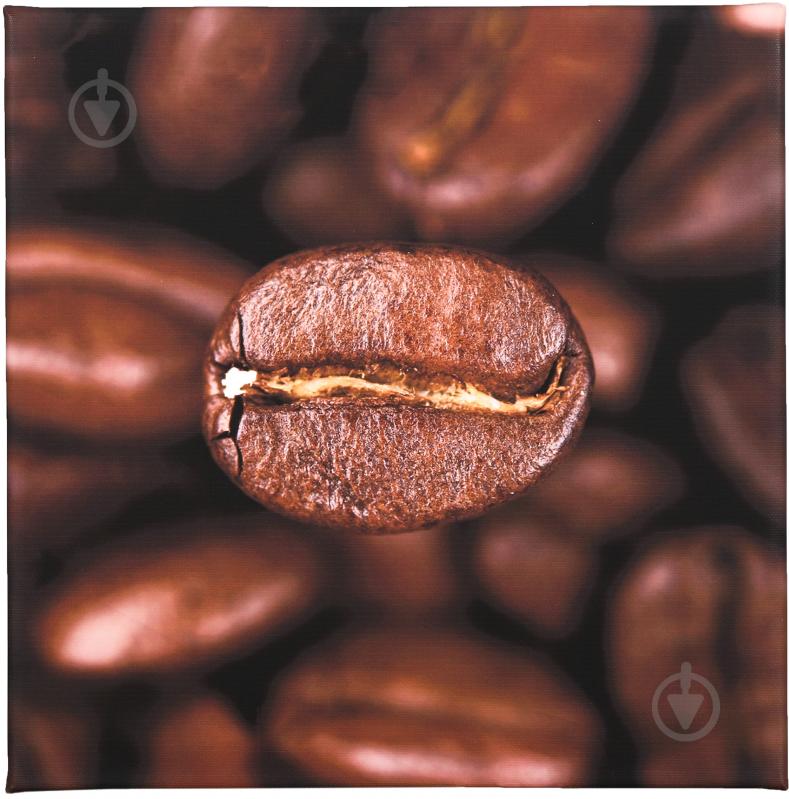 Репродукція 28х28 см AF20070312 Coffee Beans 087 RozenfeldArt - фото 1