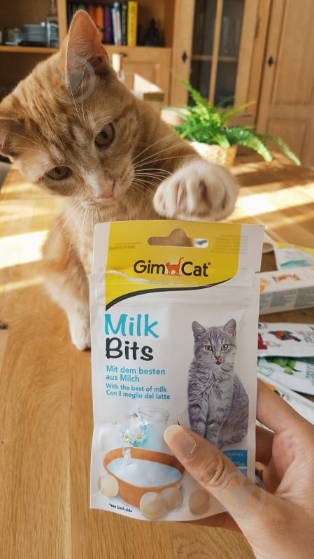 Ласощі GimCat вітамінізовані для котів MilkBits з молоком 40 г G-418735 - фото 3