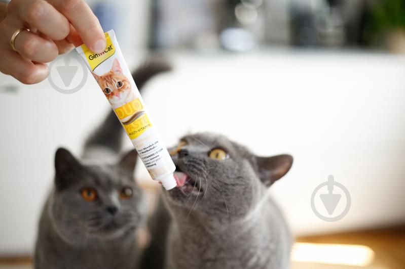 Ласощі GimCat паста для котів DUO PASTE Multi-vitamin 12 вітамінів та сир 50 г G-421841 - фото 4