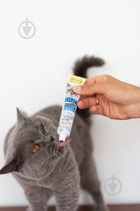 Ласощі GimCat паста для котів DUO PASTE Multi-vitamin 12 вітамінів та тунець 50 г G-421858 - фото 4