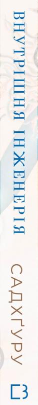 Книга Садхгуру «Внутрішня інженерія. Керівництво з йоги, що приведе вас до радості» 978-617-548-253-7 - фото 3