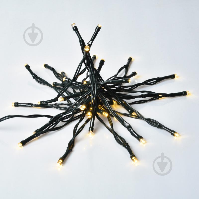 Електрогірлянда YES! Fun Вулична LED тепло-біла статична таймер 41 ламп 2,8 м (975061) - фото 1 Електрогірлянда YES! Fun Вулична LED тепло-біла статична таймер 41 ламп 2,8 м (975061) - фото 1