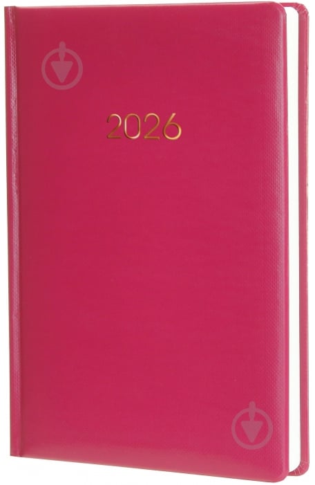 Дневник датированный Spectrum Economix A5 2026 E21847 бордовый - фото 1